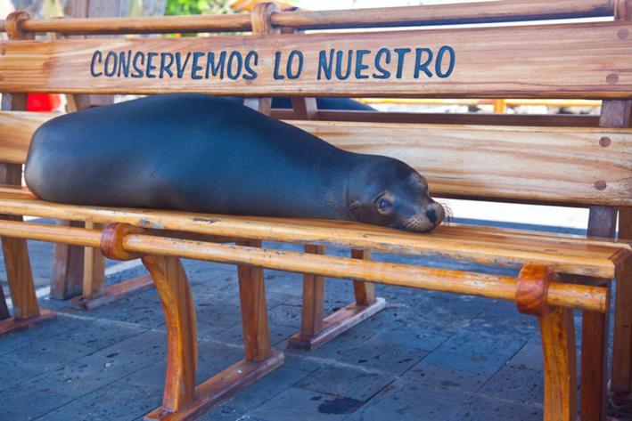 Casa Playa Los Marinos Puerto Baquerizo Moreno Eksteriør billede